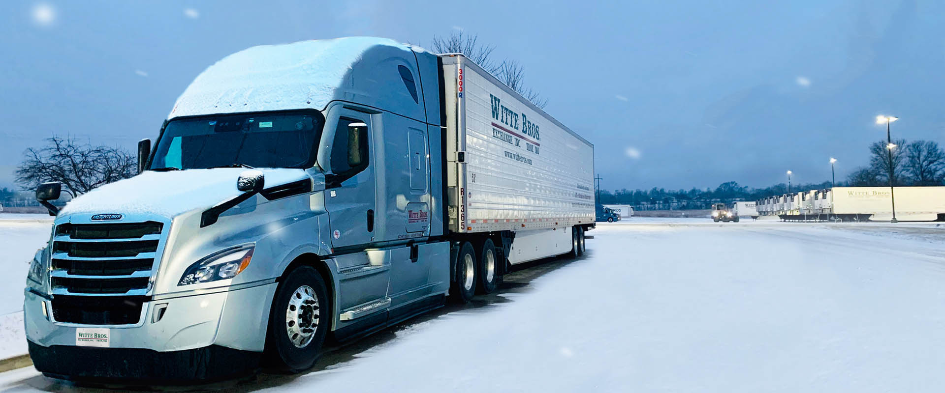 Cold Chain Management Smaller with liecense plate