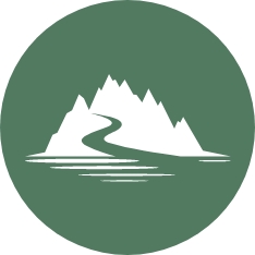 circle icon green white road